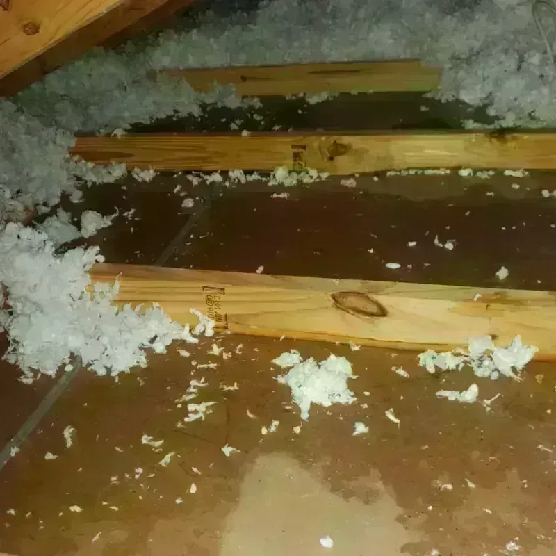 Attic Water Damage in Weatherford, TX