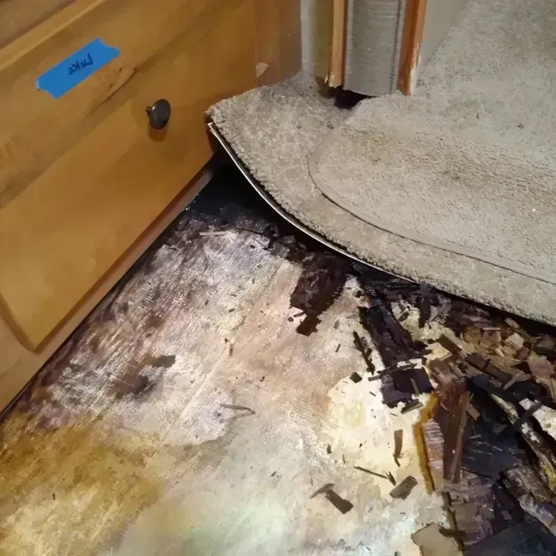 Wood Floor Water Damage in Weatherford, TX